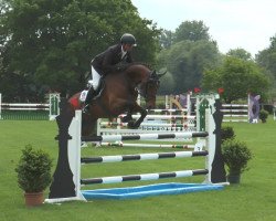 broodmare Curly 70 (Westphalian, 2009, from Carell)
