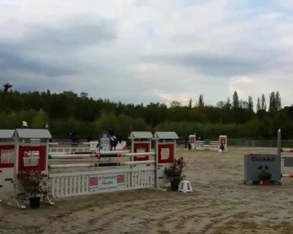 Video of Lorenco 4