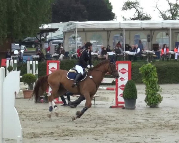 Sommerturnier Lohmar-Hausdorp 2015