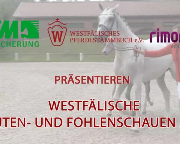 Video von Delphi 60