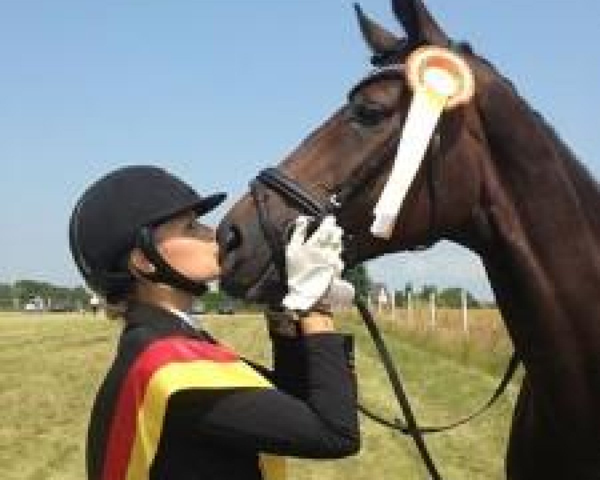 Avlshoppe Dubarry B (Hanoveraner, 2008, fra Don Frederico) - Referenzen