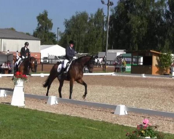 Großes Sommerturnier in Hille 2015