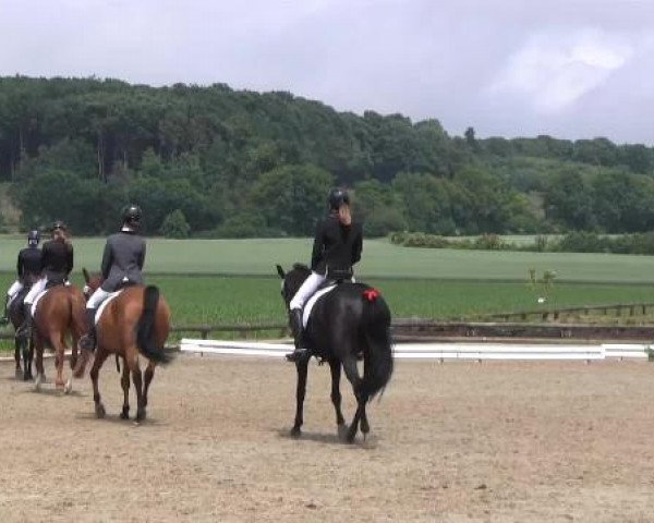 Ponyturnier Billerbeck 2015