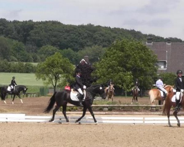 Ponyturnier Billerbeck 2015