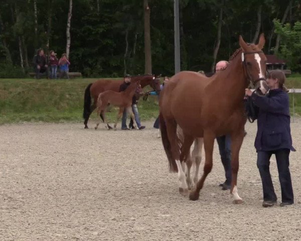 Video of Bob Baumeister 3
