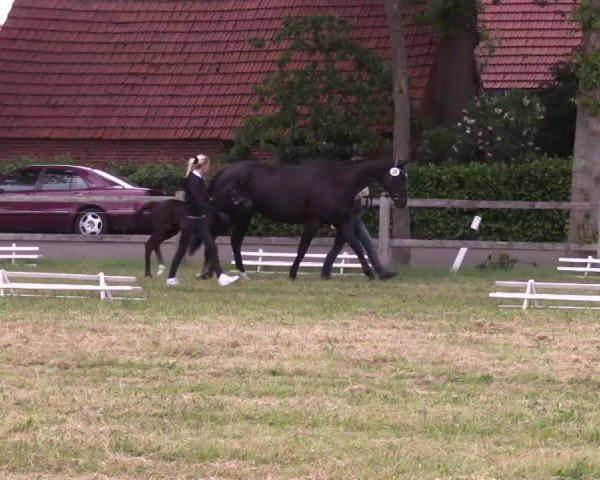 Video di Suntiago H