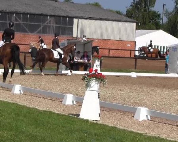 Großes Sommerturnier in Hille 2015 04.06.2015
38 

-falsches Pferd, wurde nie auf Turnier vorgestellt