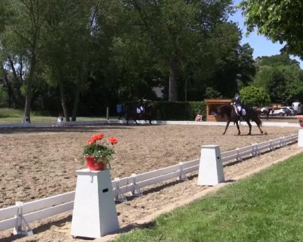 Großes Sommerturnier in Hille 2015