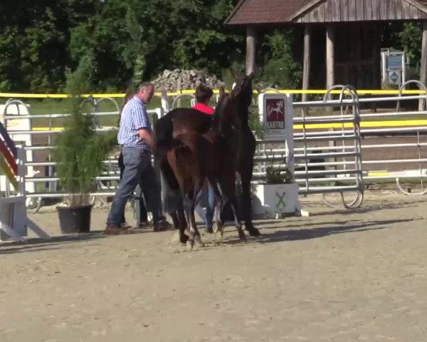 Video of Solera B