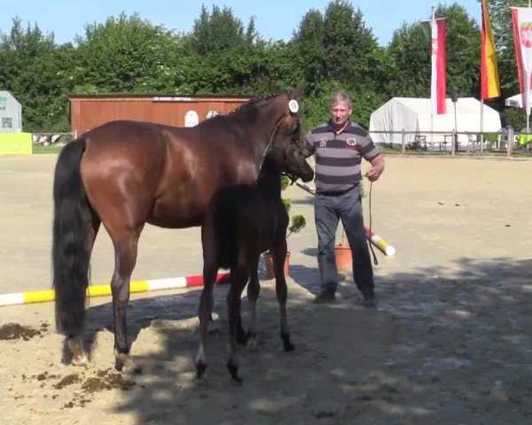 Video of Rubiona