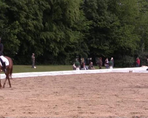 Sommerturnier des RuFV Wülfrath- Aprath 2015