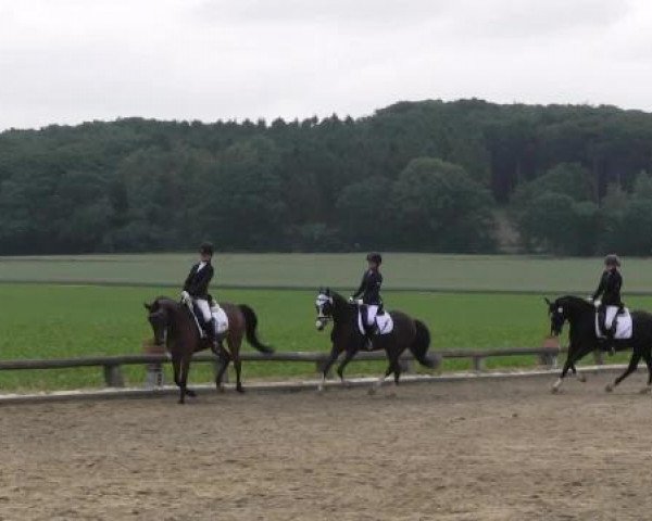 Ponyturnier Billerbeck 2015