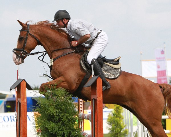 Springpferd Filippus (Holsteiner, 2005, von For Pleasure)