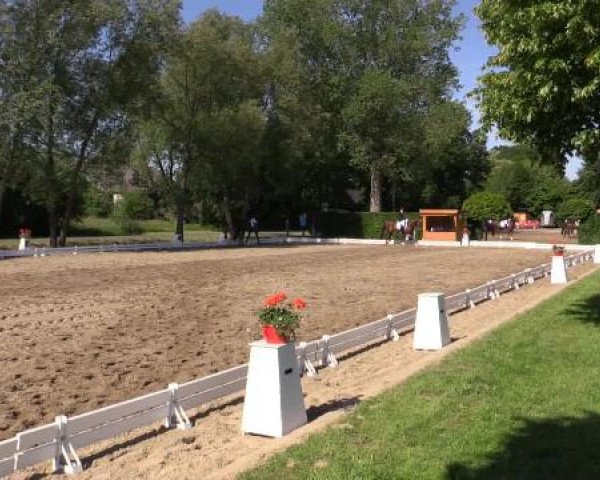 Großes Sommerturnier in Hille 2015