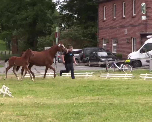 Video of All Right Now