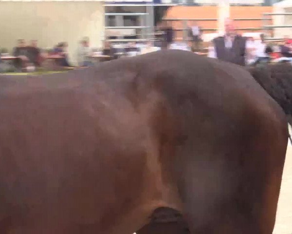 Video of Briatore NRW