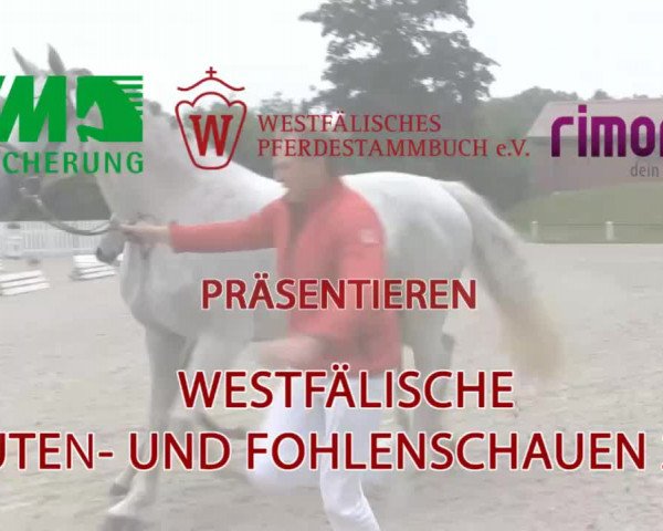 Video von Diavolessa