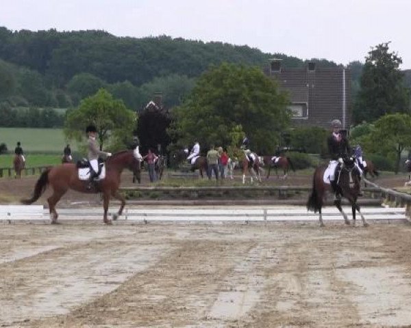 Ponyturnier Billerbeck 2015