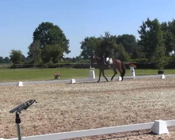 Großes Sommerturnier in Hille 2015