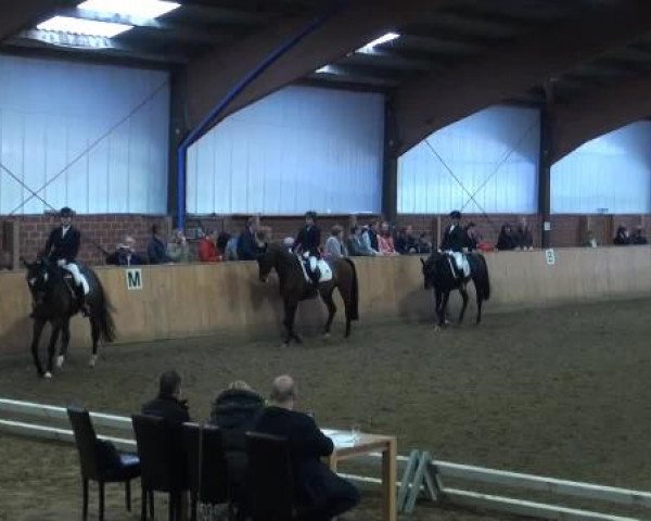 Iserlohn-Kalthof 2015