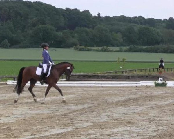 Ponyturnier Billerbeck 2015
