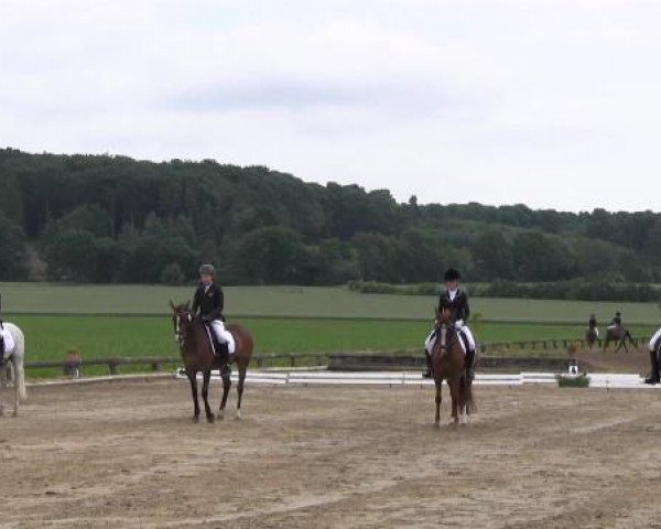 Ponyturnier Billerbeck 2015