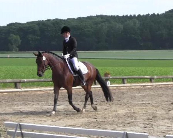 Ponyturnier Billerbeck 2015