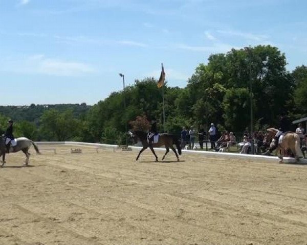Sommerturnier Lohmar-Hausdorp 2015