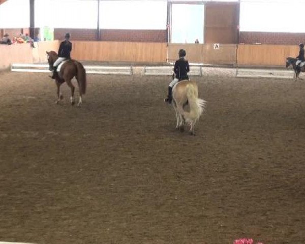 Iserlohn-Kalthof 2015