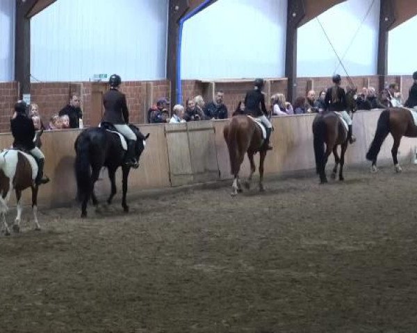 Iserlohn-Kalthof 2015