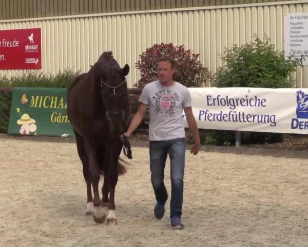 Video von First Diamond