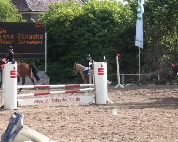 Reitturnier Krefeld-Hüls 2015