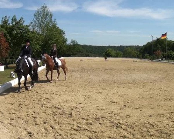 Sommerturnier Lohmar-Hausdorp 2015