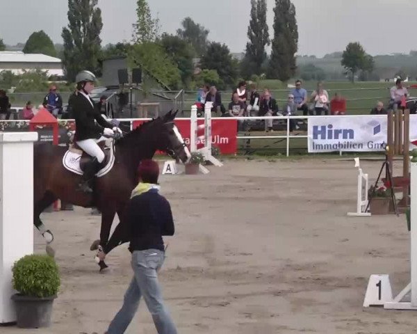 Großes Langenauer Reitturnier 2015