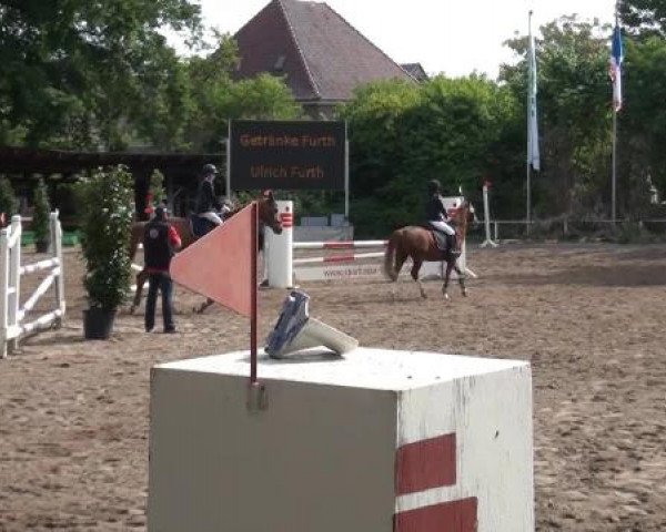Reitturnier Krefeld-Hüls 2015