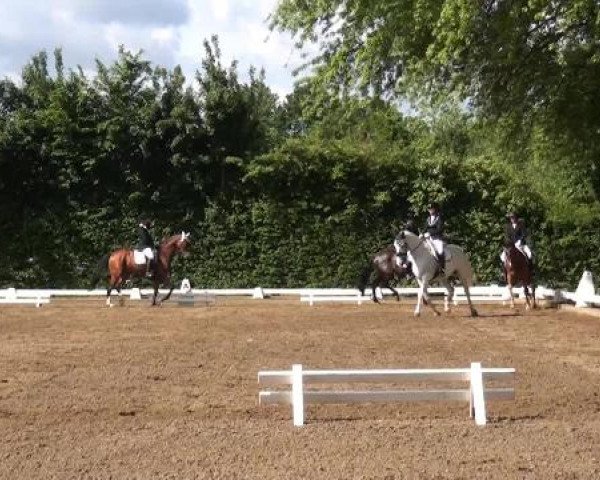 Reitturnier Willich-Anrath-Neersen 2015