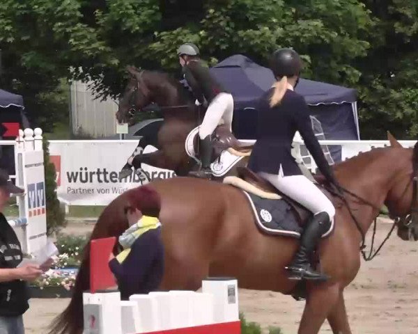 Großes Langenauer Reitturnier 2015