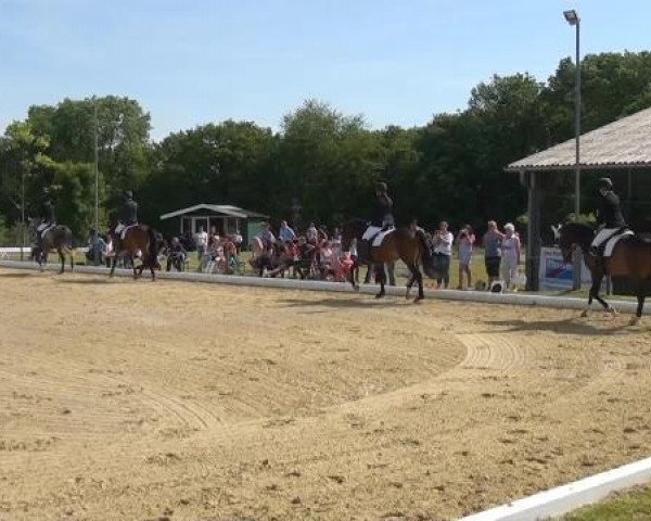 Sommerturnier Lohmar-Hausdorp 2015