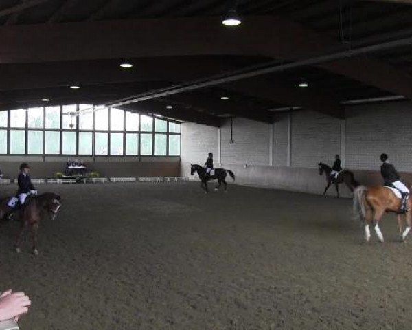 Reit - und Springturnier Hamm-Rhynern 2015