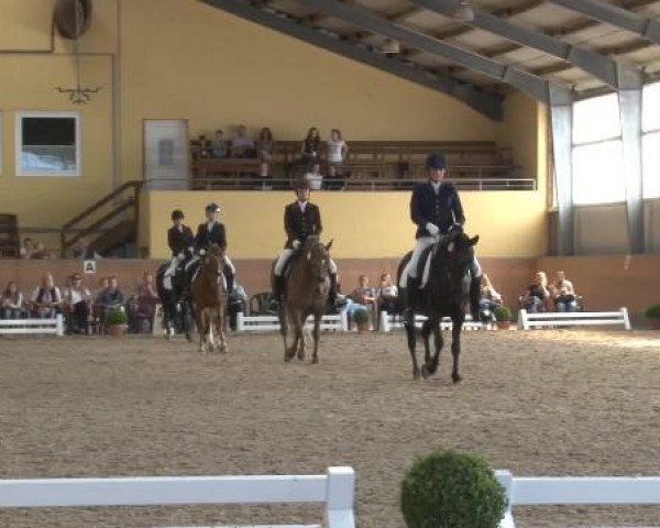 Frechen-Grefrath 2015