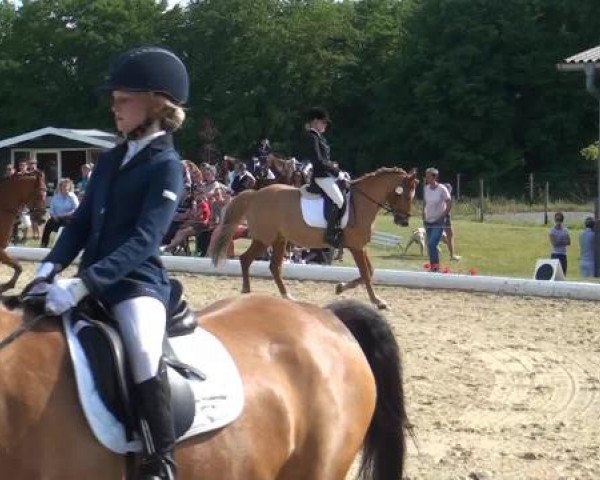 Sommerturnier Lohmar-Hausdorp 2015