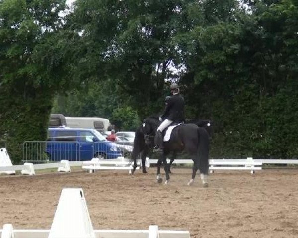 Reitturnier Willich-Anrath-Neersen 2015