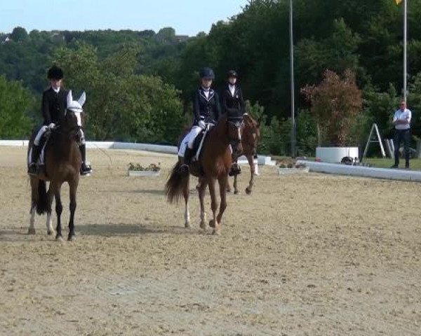 Sommerturnier Lohmar-Hausdorp 2015