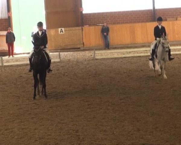 Iserlohn-Kalthof 2015