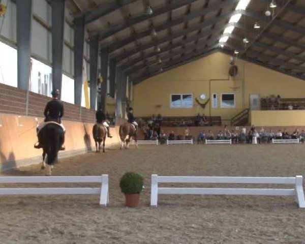 Frechen-Grefrath 2015