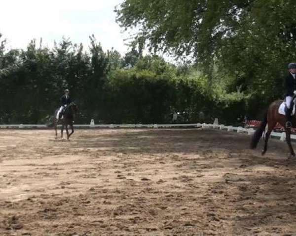 Video von A la Dressage