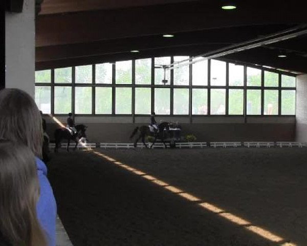Reit - und Springturnier Hamm-Rhynern 2015