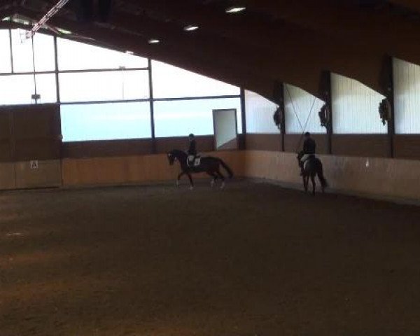 Iserlohn-Kalthof 2015