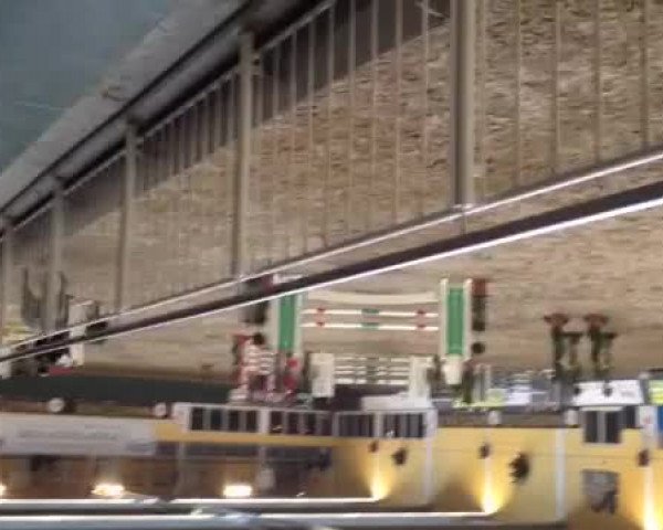 Video von Neun-Elfer Turbo