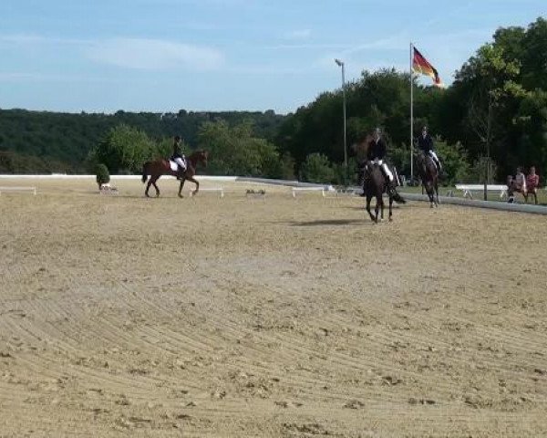 Sommerturnier Lohmar-Hausdorp 2015